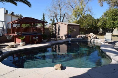Pebble Tech Pool