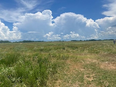 11403 Fm 1994 Rd, Guy, TX 77444 - photo 5