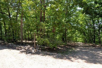 1103 Brown Bear Trail, Flint Creek, OK 74347 - photo 4