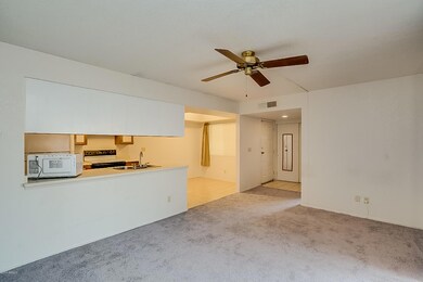 Stapley-08