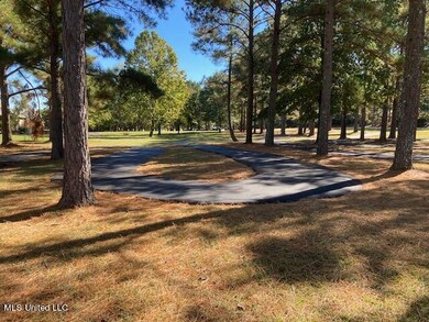 135 Camden Point unit Lot 637, Madison, MS 39110 - photo 4