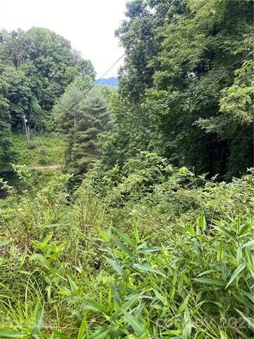 TBD Leisure Ln unit 33, Burnsville, NC 28714 - photo 2