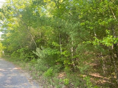 0 Baldwin Ave unit 7 4911642, New Hampton, NH 03256 - photo 7