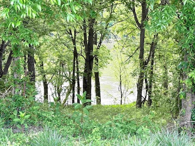 20 Allure Ln, Mountain View, AR 72560 - photo 3