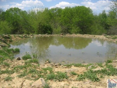 1415 Baxter Ridge Rd, Lawrenceburg, KY 40342 - photo 4