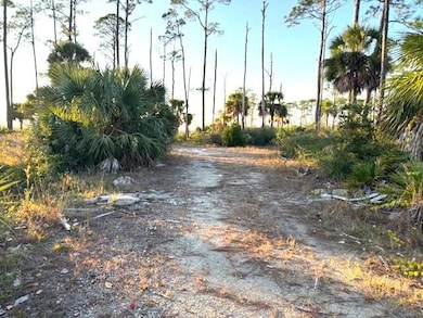 Lot 1 Sr 30-A, Port St. Joe, FL 32456 - photo 3