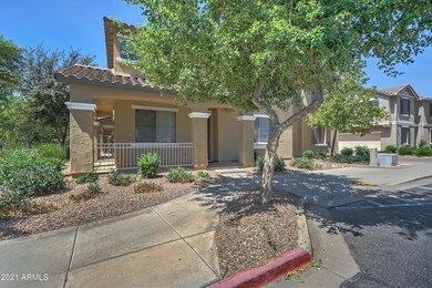 3833 E Trigger Way-2