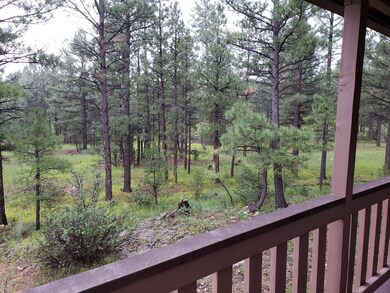 view of back deck