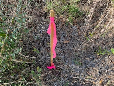 3 ac County Road 404, Elba, AL 36323 - photo 2