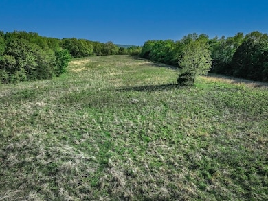 676 N Devils Den Rd, Winslow, AR 72959 - photo 5