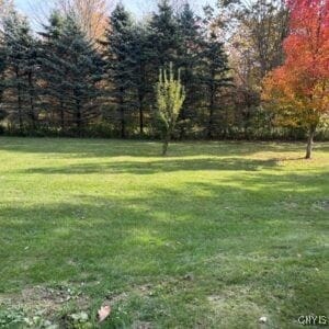 539 County Route 3, Fulton, NY 13069 - photo 4