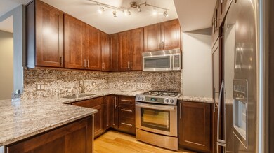 unlisted-address, Chicago, IL 60611 - photo 2