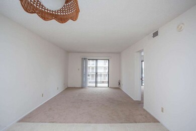 Dining/Living Area