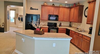 24515 Daisy Run, San Antonio, TX 78255 - photo 7