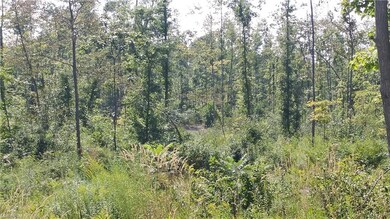 Wooded View Beck Rd.