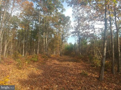 0 Carsons Corner unit 1000091757, Louisa, VA 23093 - photo 3