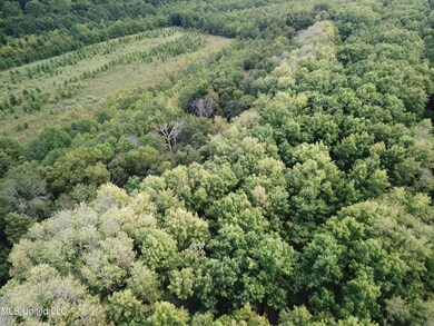 DJI_0047