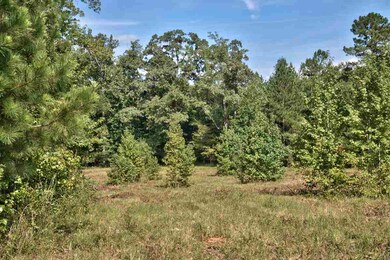 1201 Waterstone Dr, Madison, GA 30650 - photo 5