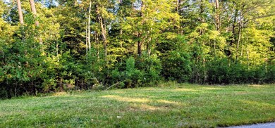 0 State Hwy 111 unit RTC2995387, Spencer, TN 38585 - photo 7