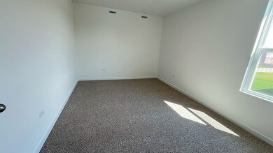 26100 S Castle Blvd, Manhattan, IL 60442 - photo 7