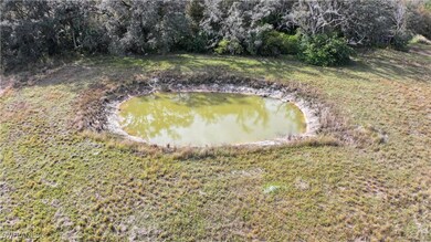 2032 Fernwood Lane, Muse (Glades County) 43.96 Ac