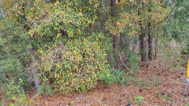 Wooded Lot 0.25 acres
