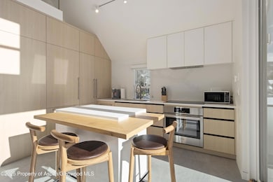 211 W Main St unit 201, Aspen, CO 81611 - photo 7