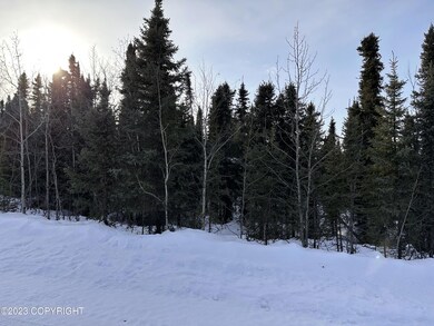 IMG_9647_L6