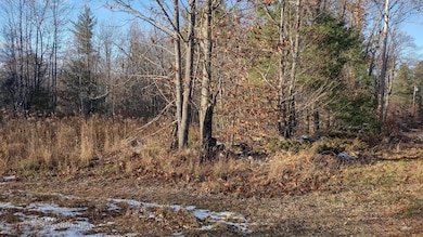 Lot 42C Baldwin Hill Rd, Fayette, ME 04349 - photo 5