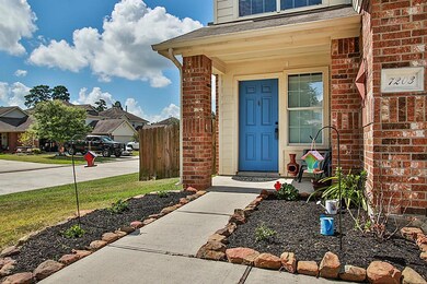 7203 Lazy Summer Ct, Magnolia, TX 77354 - photo 5