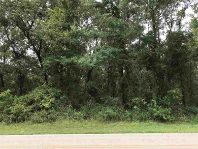Lot 24 Friendship Church Rd, Crawfordville, FL 32327 - photo 4