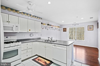 12011 Tralee Rd unit 404, Lutherville Timonium, MD 21093 - photo 7