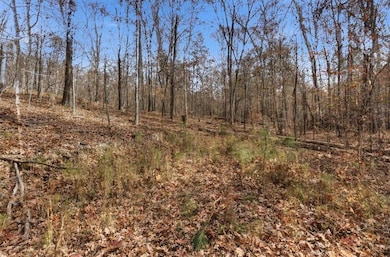 0 Flowery Branch Rd unit 7684237, Kingston, GA 30145 - photo 7