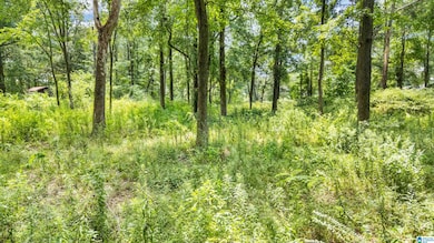 Lot 7 Hebb Rd unit 7, Wilsonville, AL 35186 - photo 4