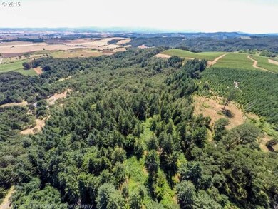 0 SW Vineyard Ln unit 15359757, McMinnville, OR 97128 - photo 4