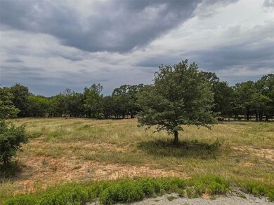 208 S Saddle Spur Ct, Weatherford, TX 76087 - photo 5