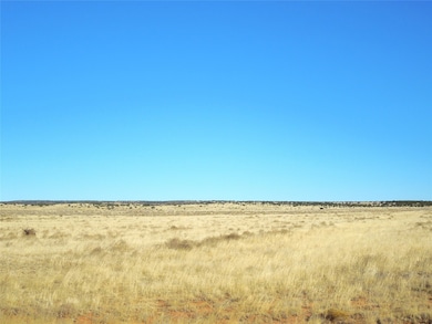 Lot 20-22 Block 8 Tract 12, Estancia, NM 87016 - photo 4
