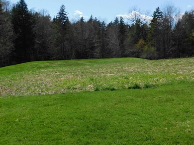 290 Ray Hill Rd, Wilmington, VT 05363 - photo 3
