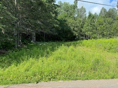 Map11 Lot1 High St, Westfield, ME 04730 - photo 2