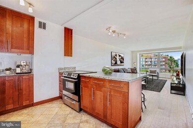 Riverside unit A615, Washington, DC 20024 - photo 5