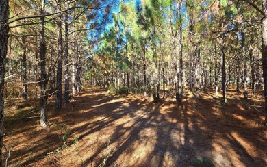 TBD-1 221st Rd, Dowling Park, FL 32060 - photo 4