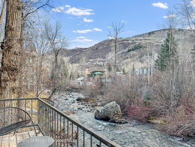 1050 Waters Ave unit 9, Aspen, CO 81611 - photo 6