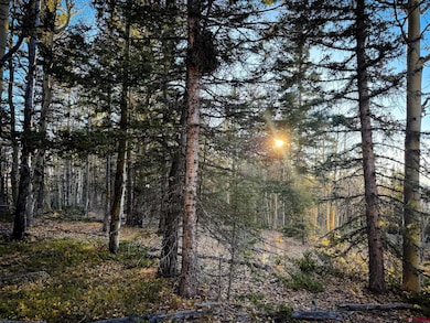 6817 Heckman Rd, San Luis, CO 81152 - photo 3