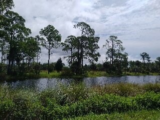 Lot 7 SW 104th St, Cedar Key, FL 32625 - photo 3