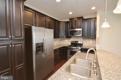 24684 Hutchinson Farm Dr, Sterling, VA 20166 - photo 3