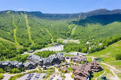 7412 Mountain Rd unit 4-08, Stowe, VT 05672 - photo 4