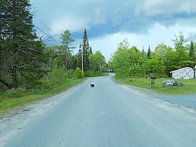 462 Railroad St, Littleton, NH 03561 - photo 5