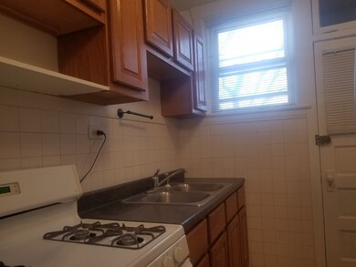 5302 W Nelson St unit 1, Chicago, IL 60641 - photo 4