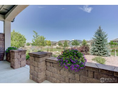 Patio view