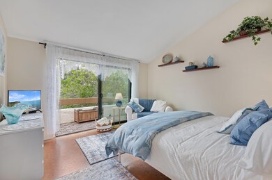 unlisted-address, Santa Barbara, CA 93109 - photo 7